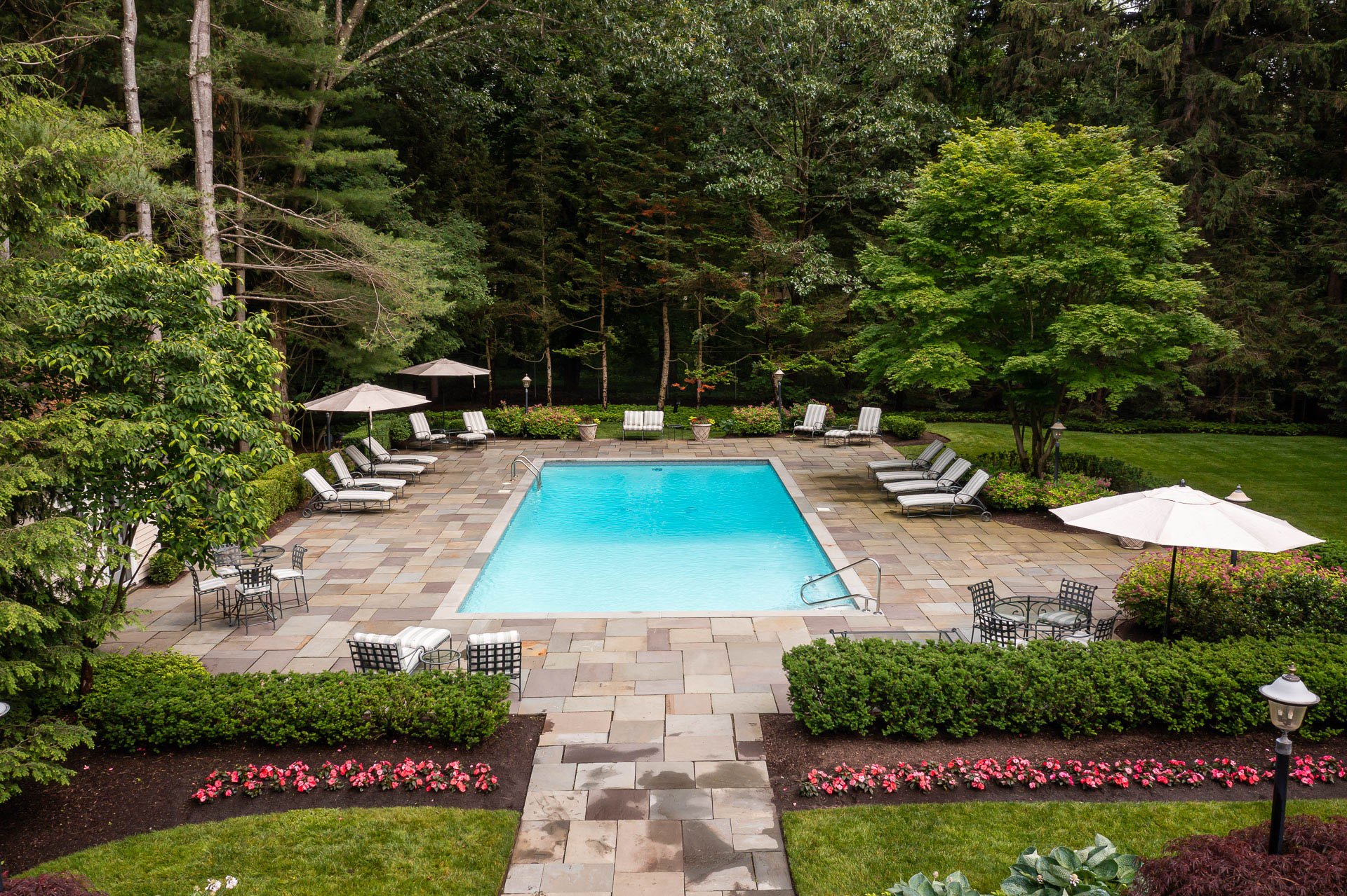 hedges create low privacy screens for pools