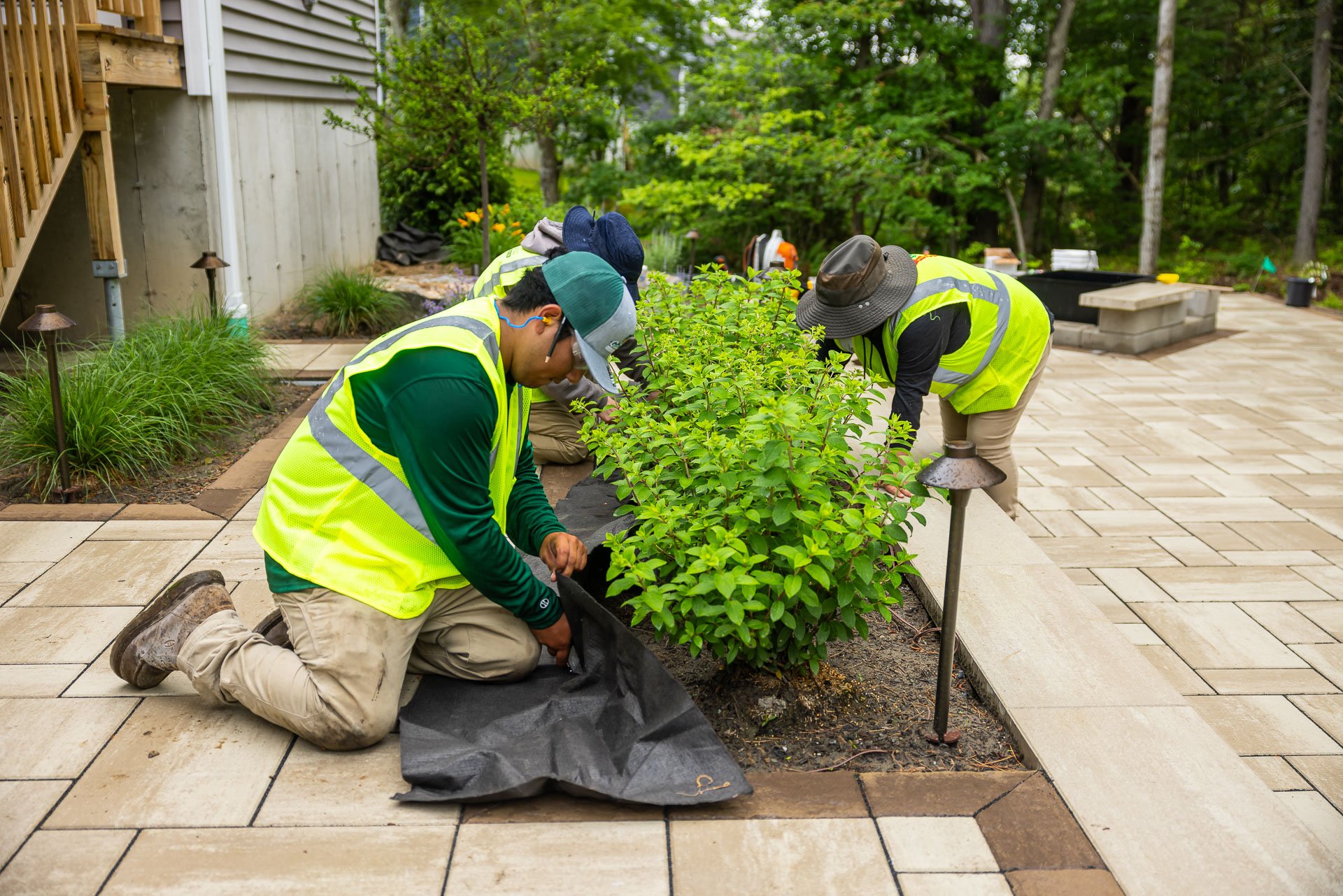 construction crew installing weed barrier planting bed 3