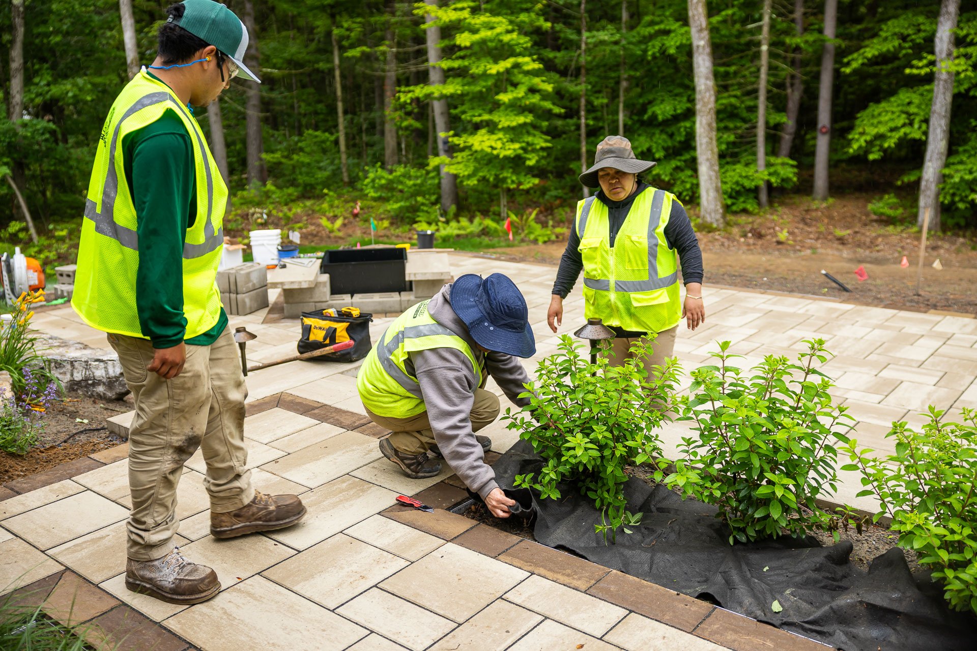 breaking up a large hardscape patio with some green bushes