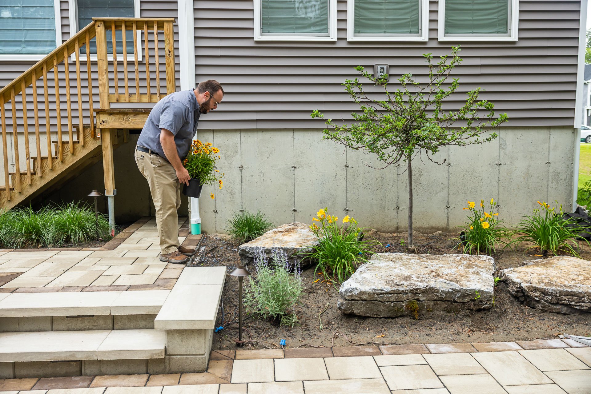 a designer placing perennial plants