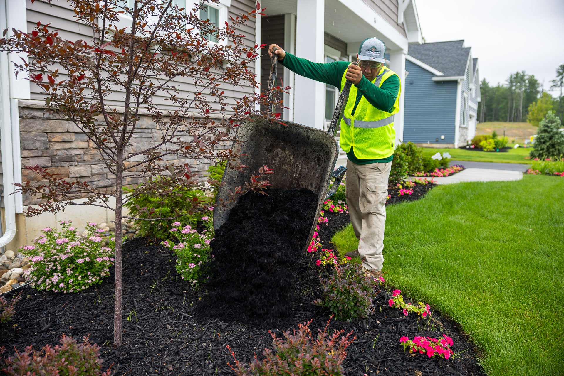 mulch should be regular installed to maintain appearance and benefits