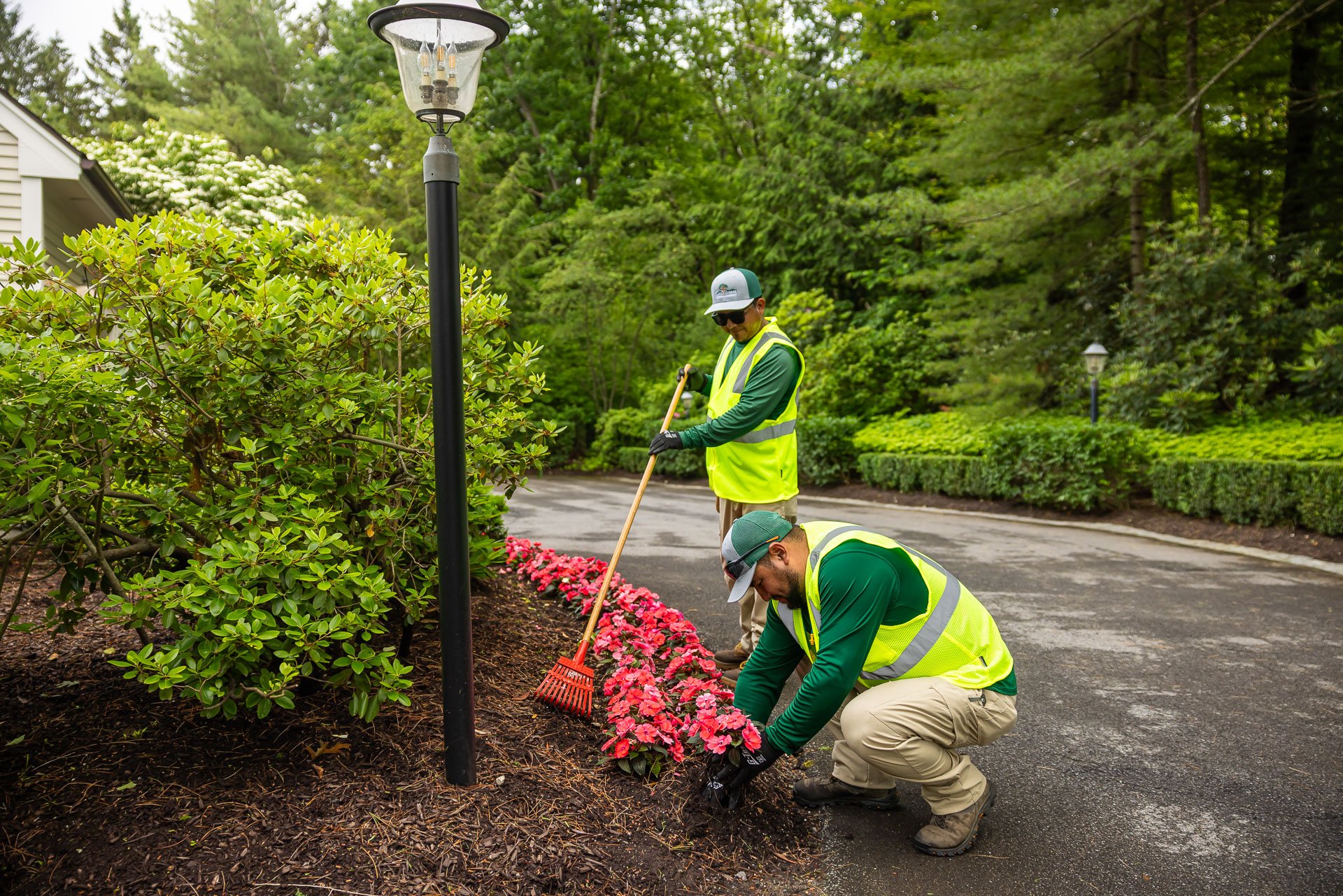 crew planting annual flowers bed light shrubs dirveway