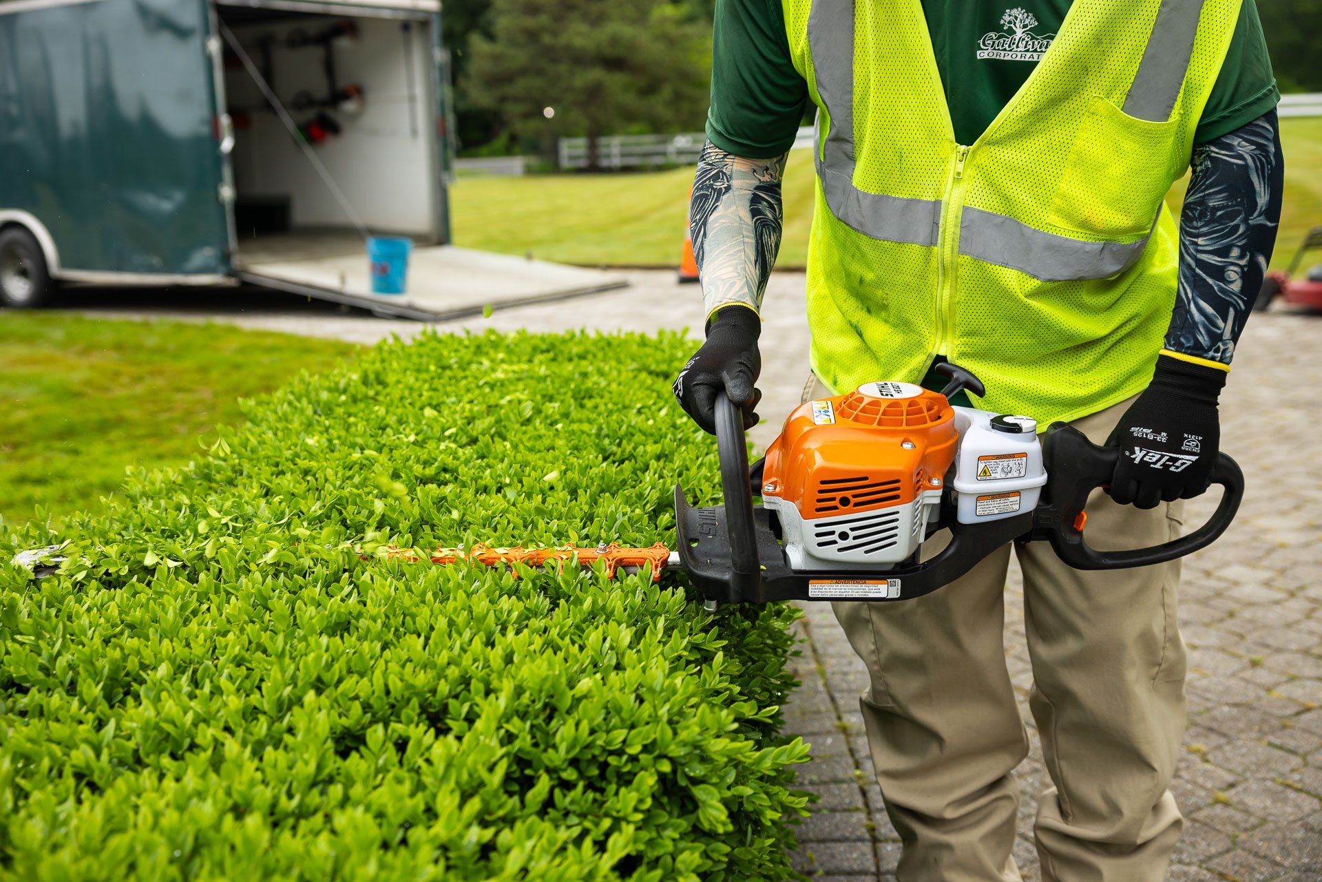 boxwood hedges are easily maintained
