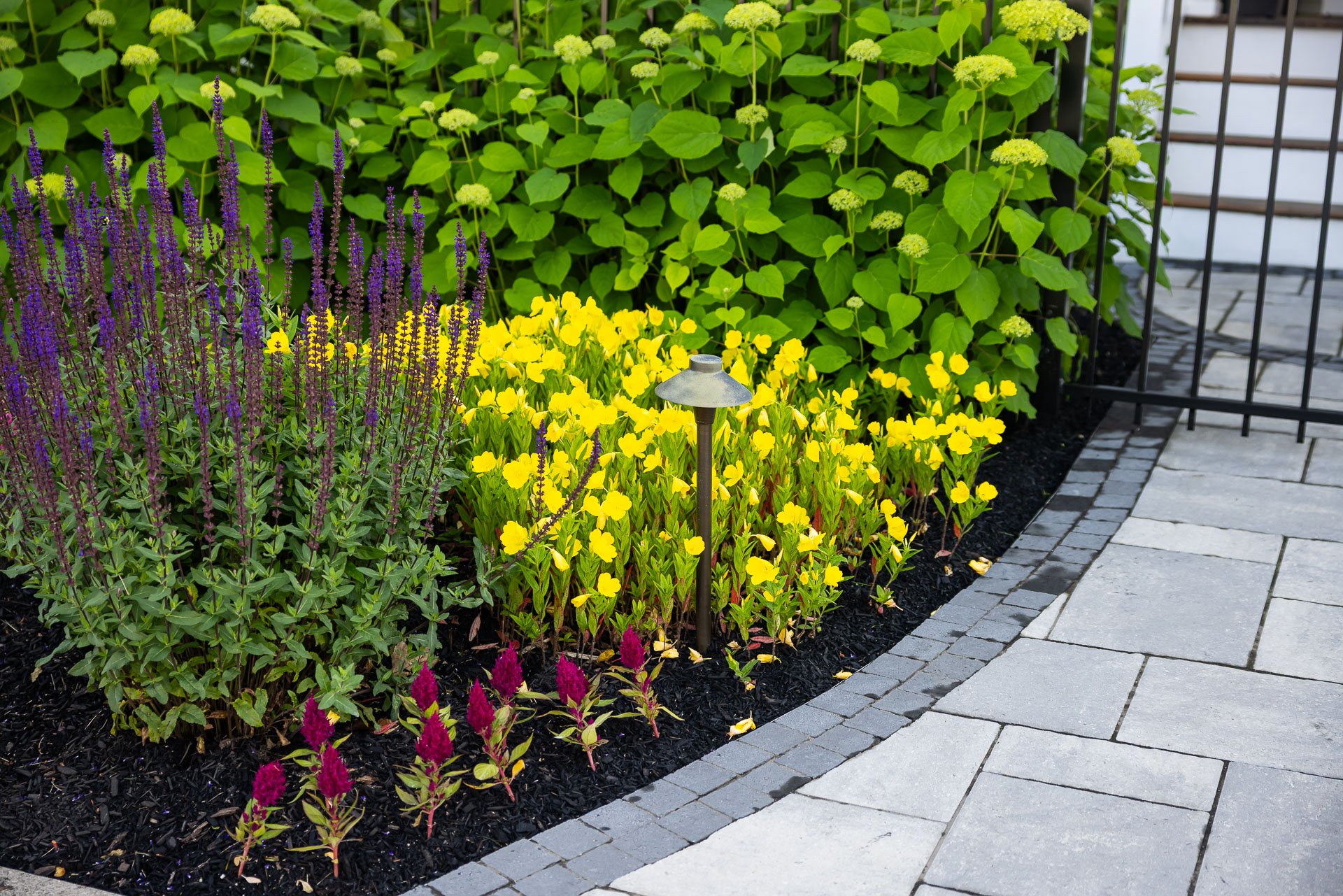 native plants thrive in the capital region