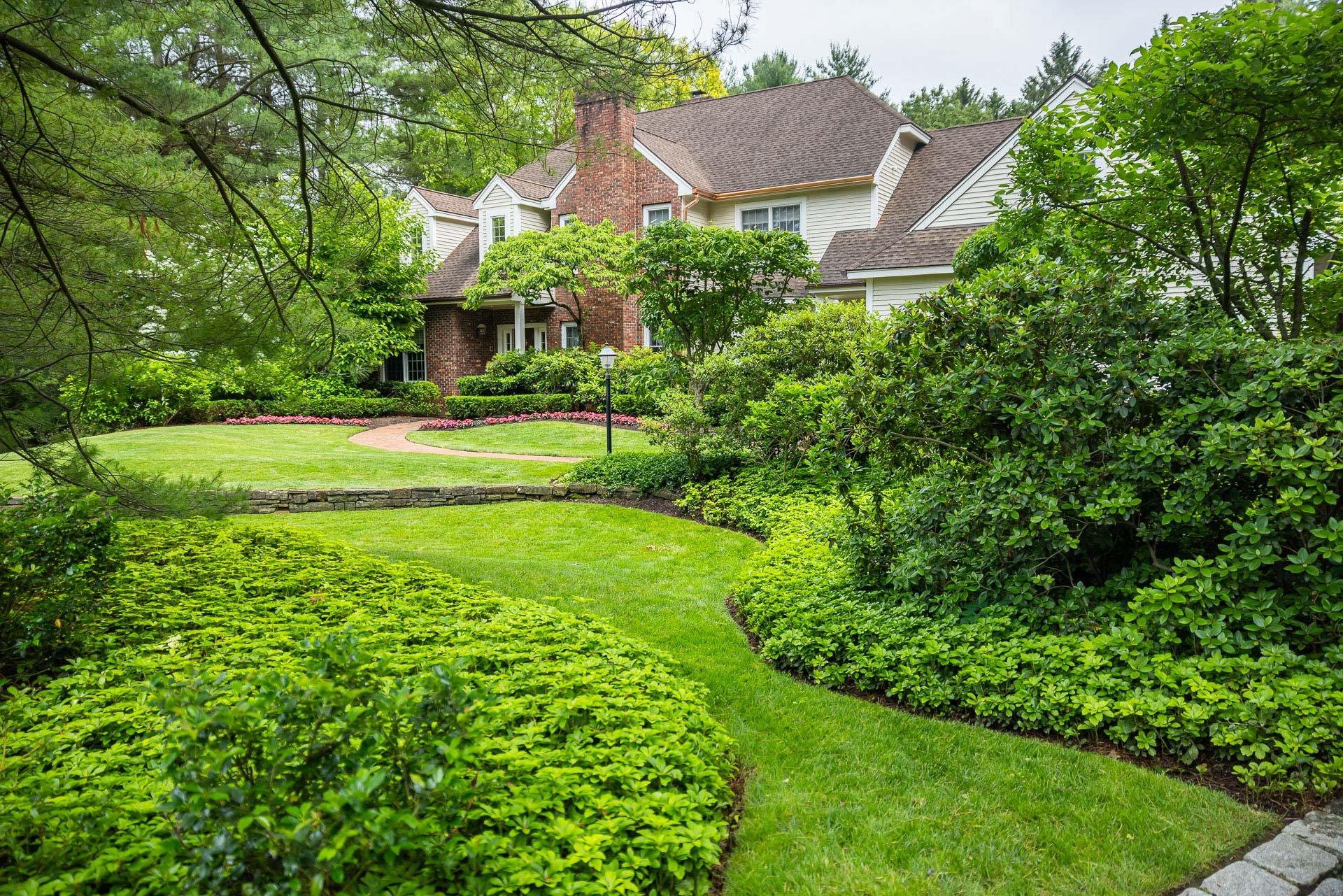 densely vegetated front yard