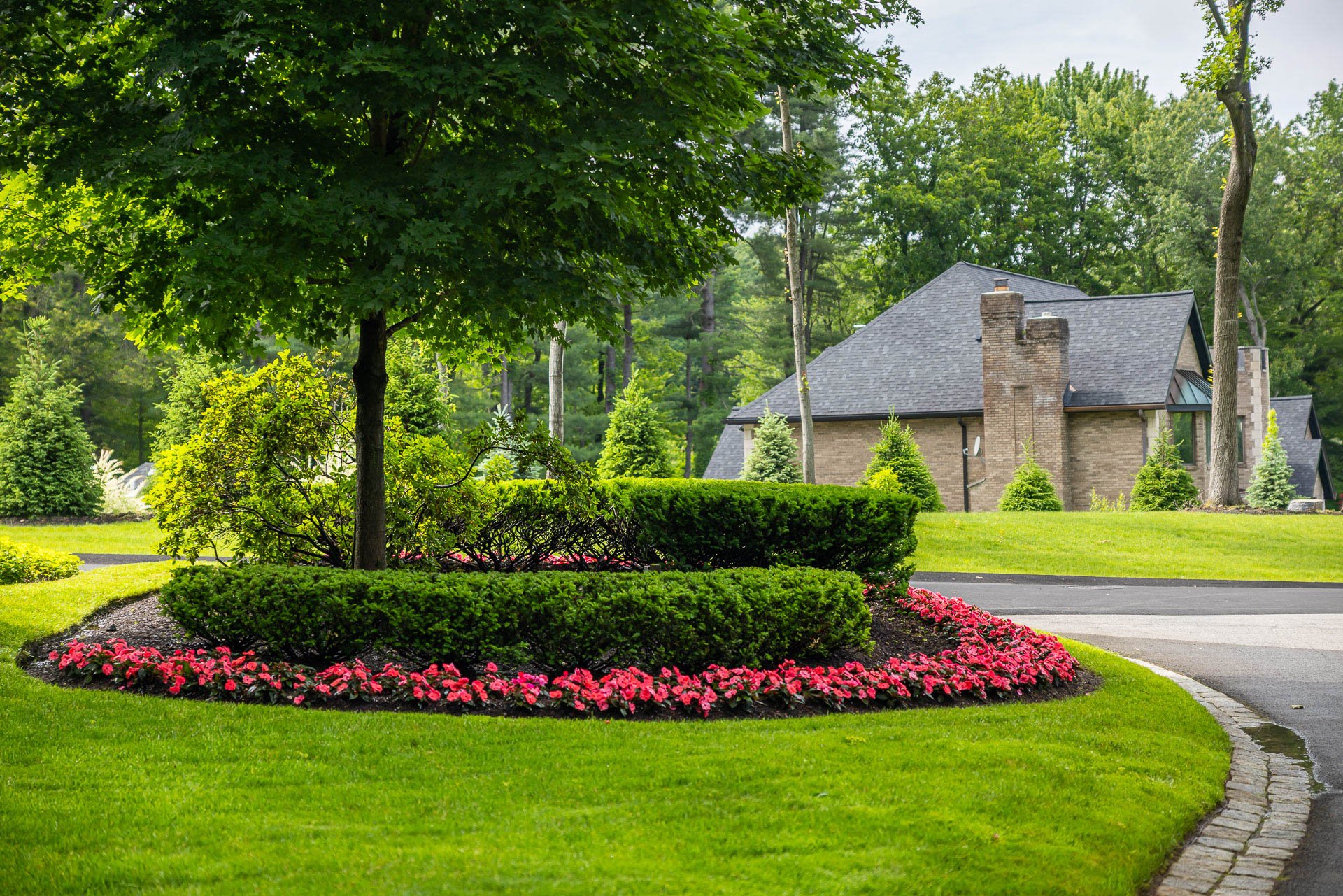 planting bed with trees, shrubs, and flowers for a variety of height and color