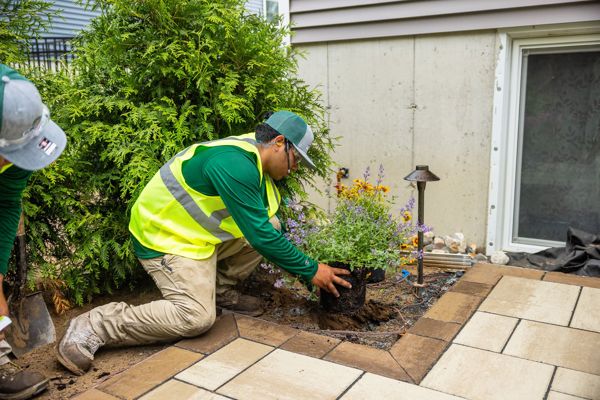 gallivan team member installing a new perennial plant