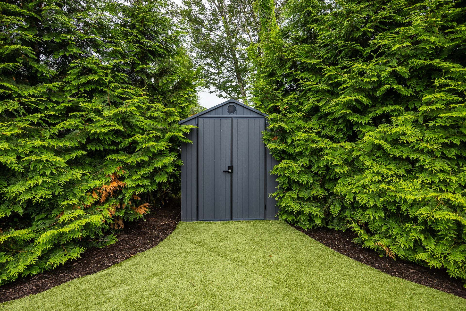 green giant arborvitae get tall and are great for privacy