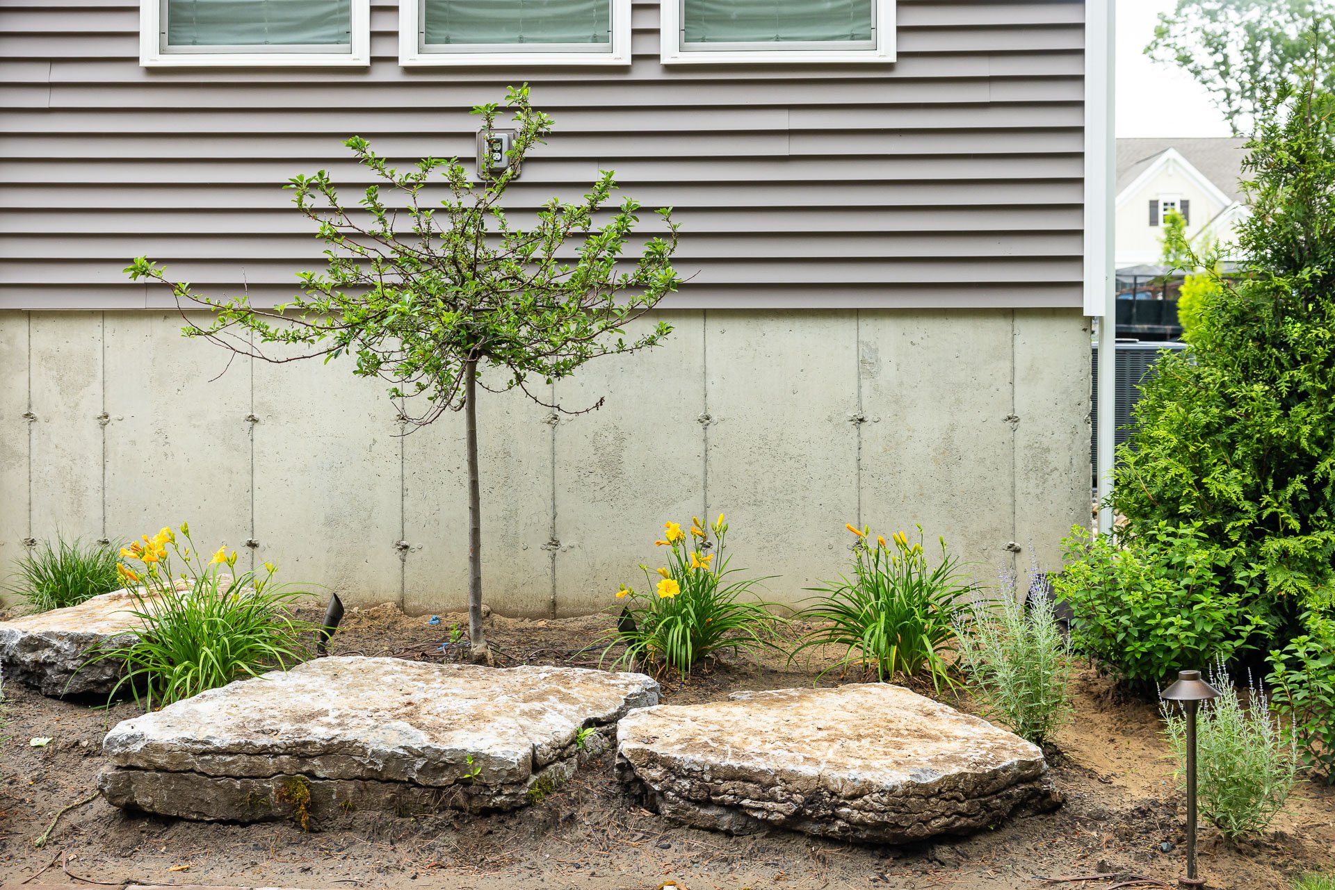 low maintenance plants don't require pruning or cutting