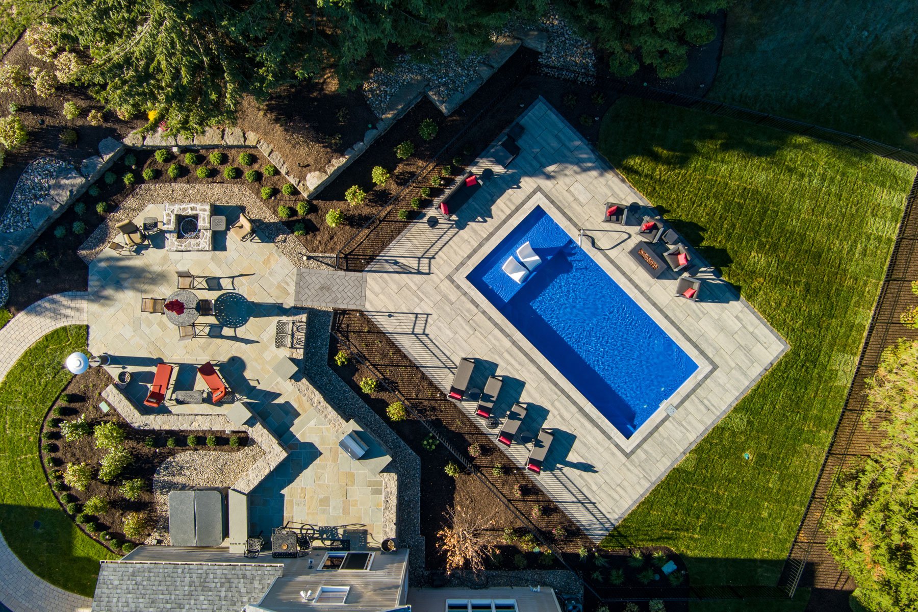 cohesive pool design with patio and plants