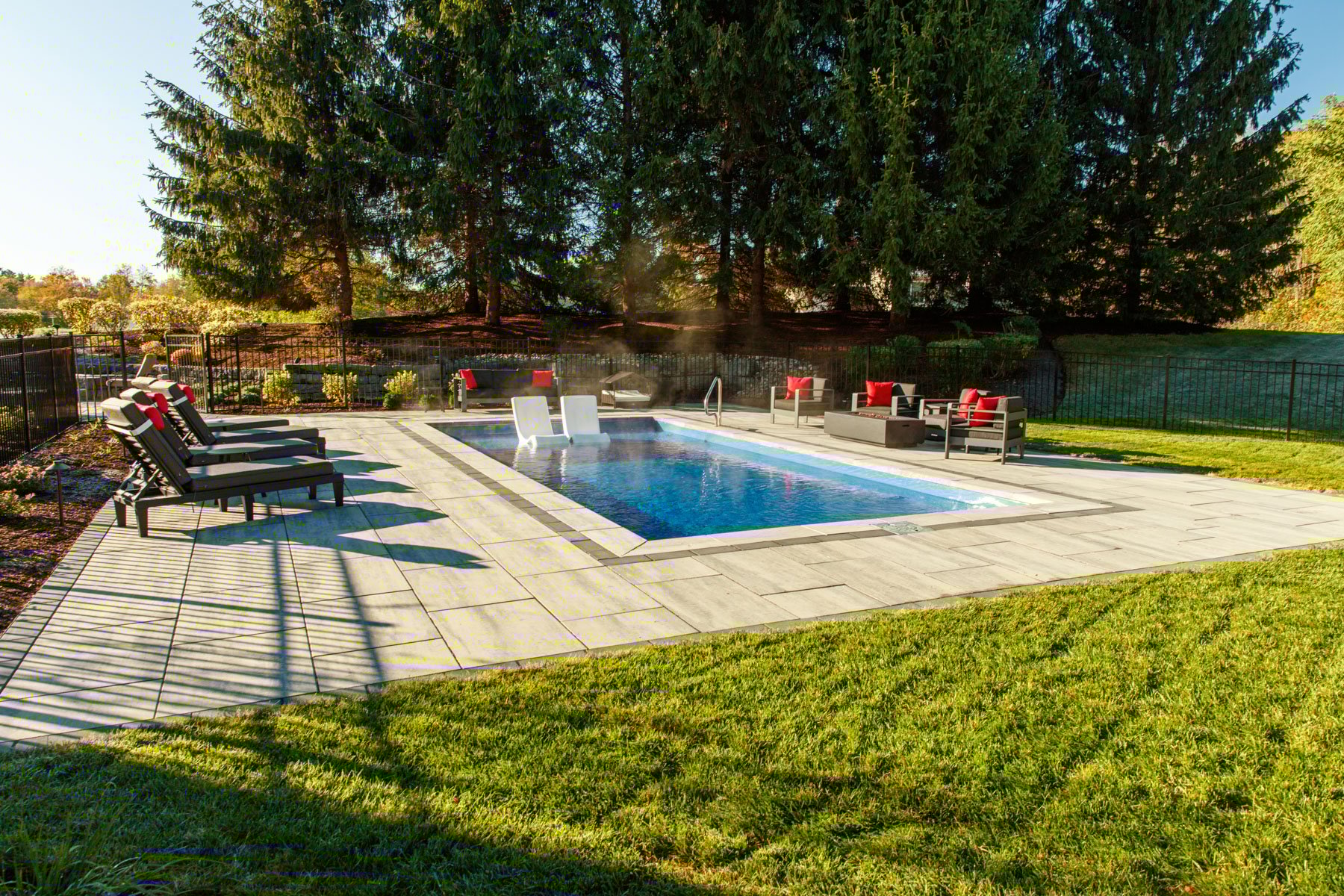 evergreen trees provide year-round privacy