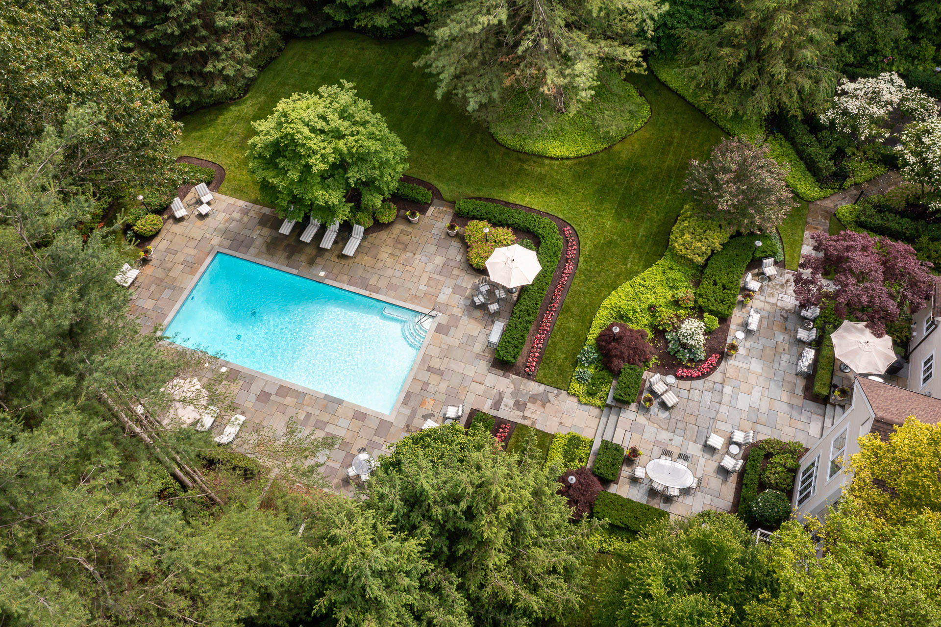 aerial planting bed flowers shrubs trees grass lawn turf pots pool patio seating backyard