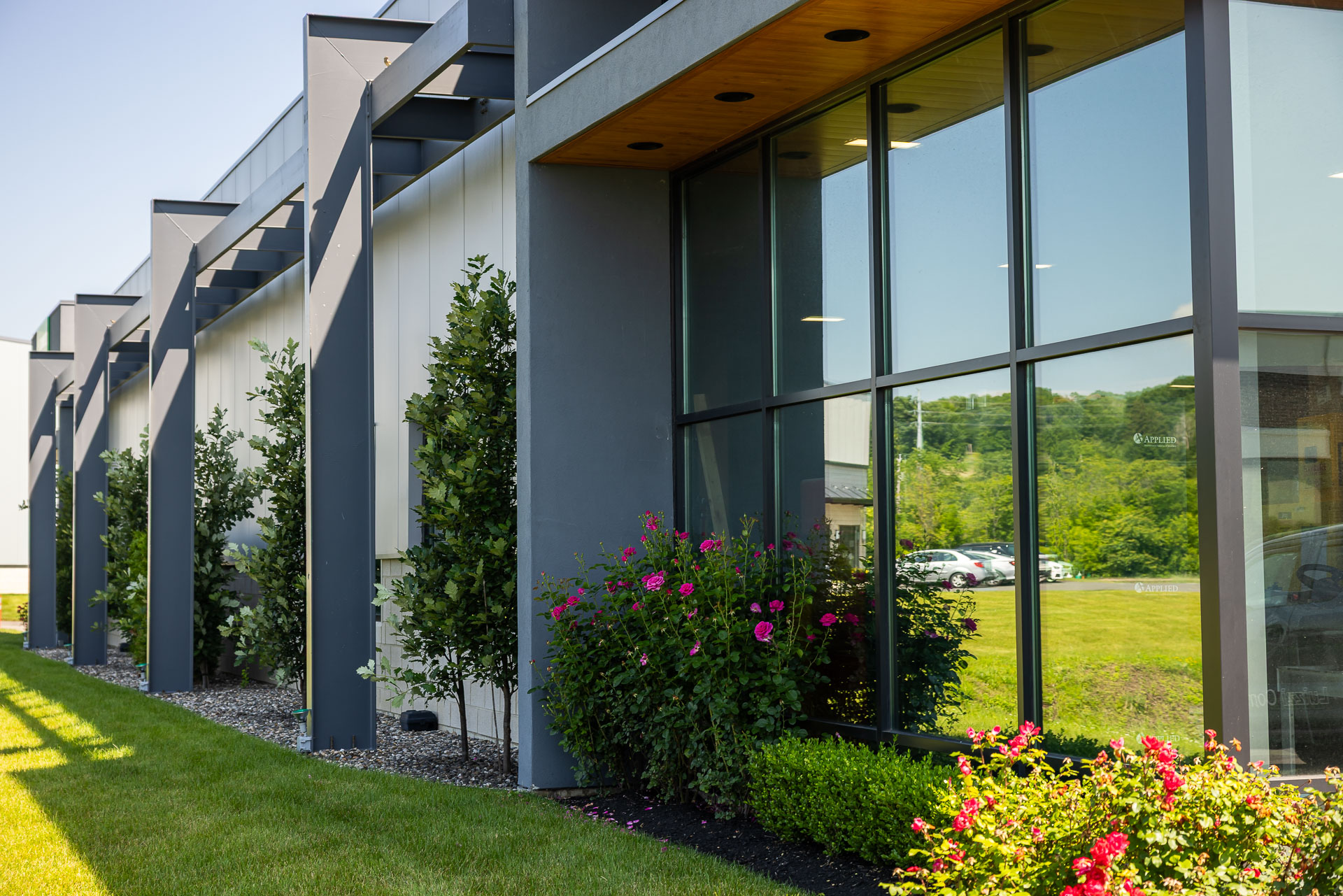commercial property roses planting bed gravel mulch grass