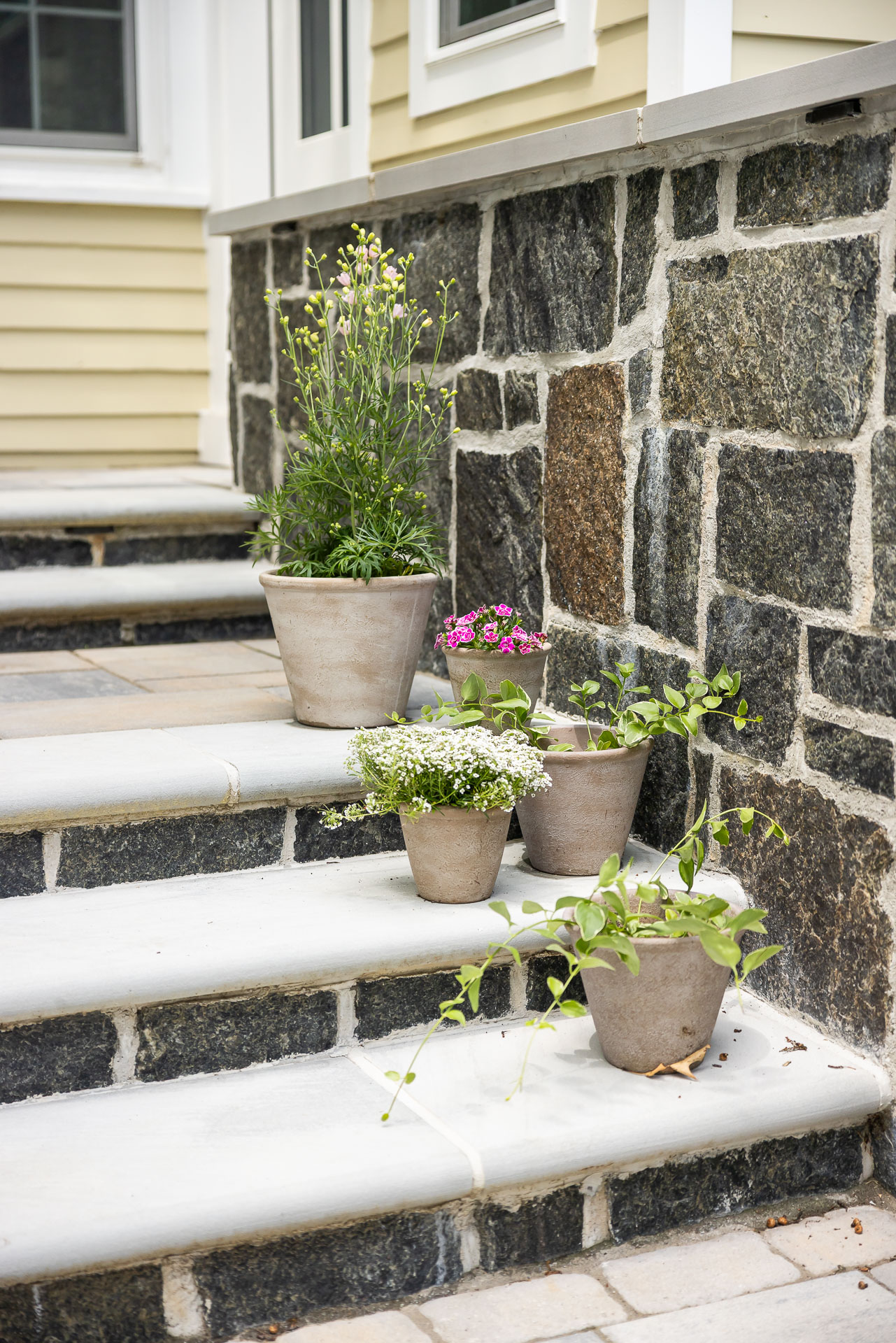 detail steps flower pots granite stone vert