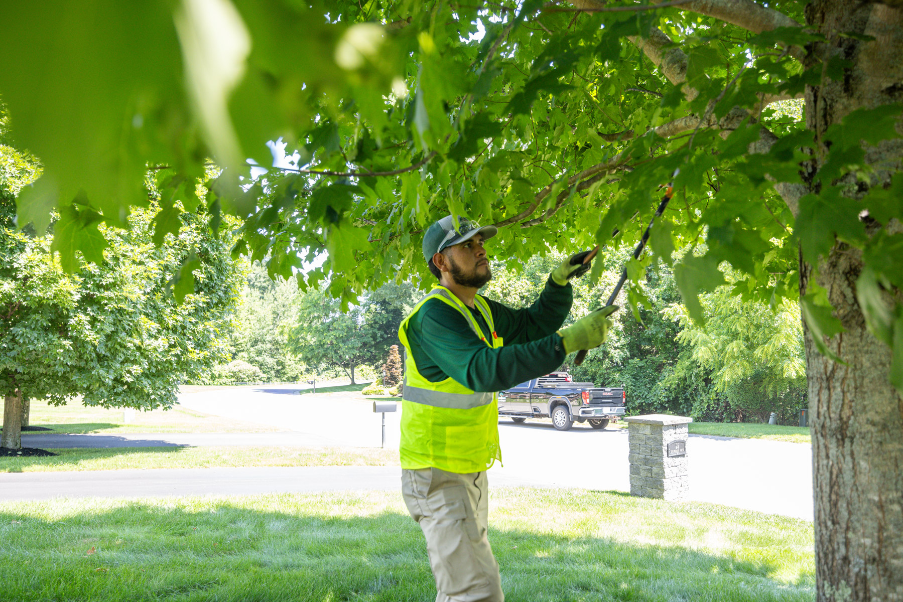 tree pruning crew 2