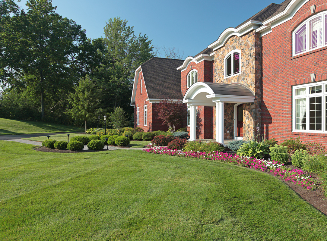 loudonville front yard landscape