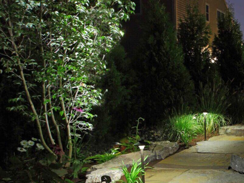 landscape-lighting-bush-scaled-e1715629407243